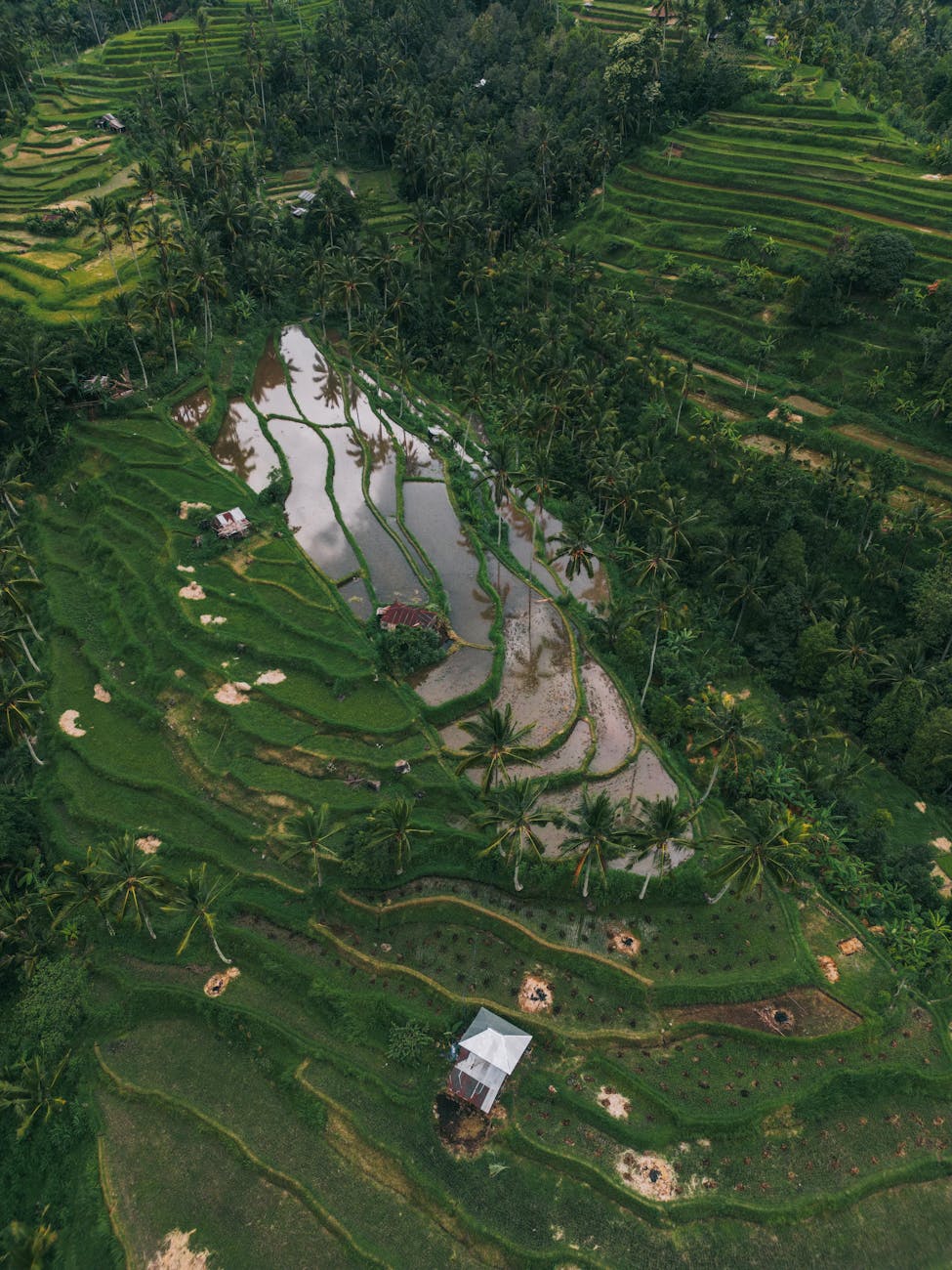 [태국] 빠이에서 즐거운 경험을 위한&nbsp;팁5!